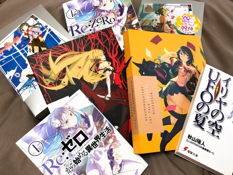 50+ anime and otaku term you must know as an anime fan - light novel
