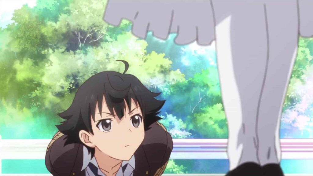 Amostra de Shomin