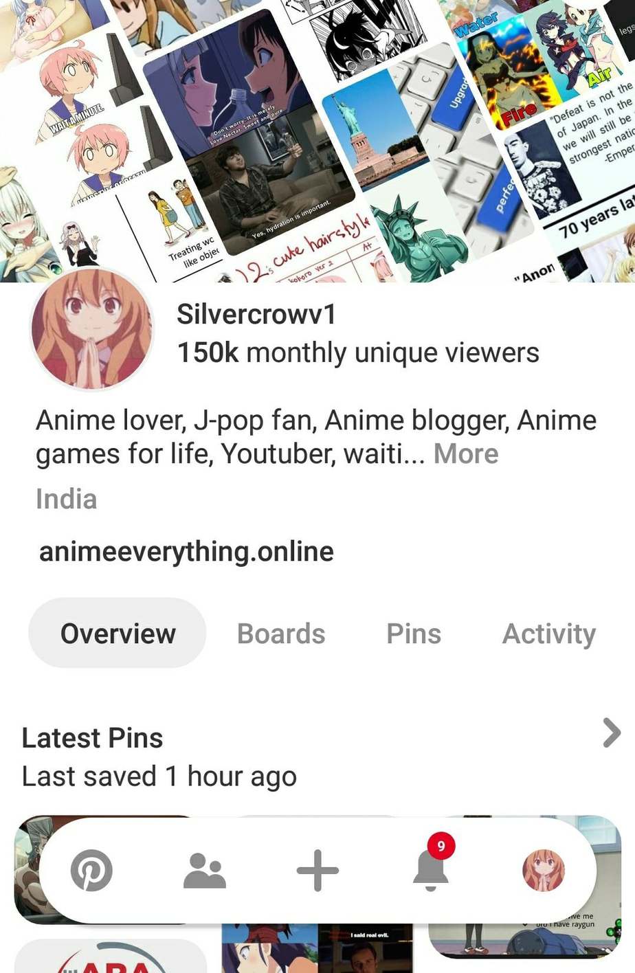 Promote anime stuffs on pinterest