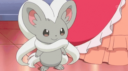 Cinccino Minccino - el pokemon más lindo de todos los tiempos