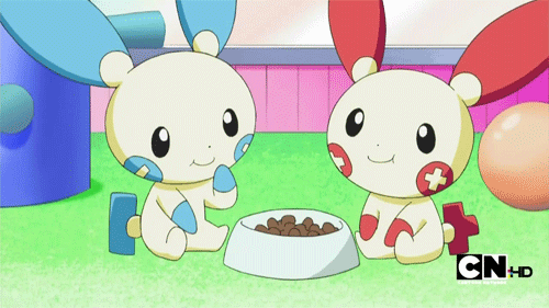 Plusle and minun