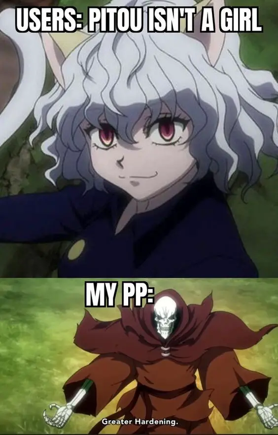 meme anime pp