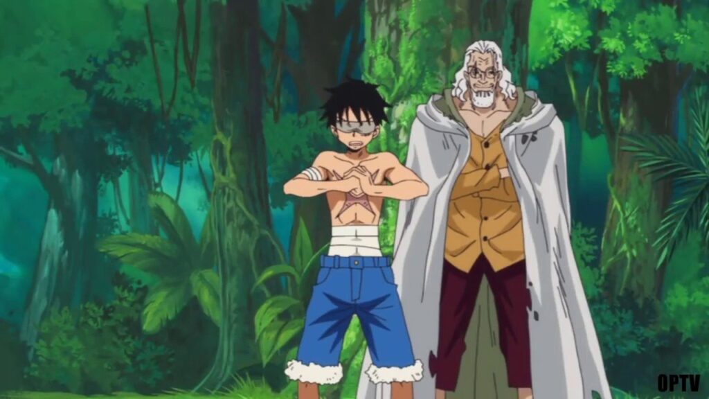 luffy primeiro haki treinando com Rayleigh