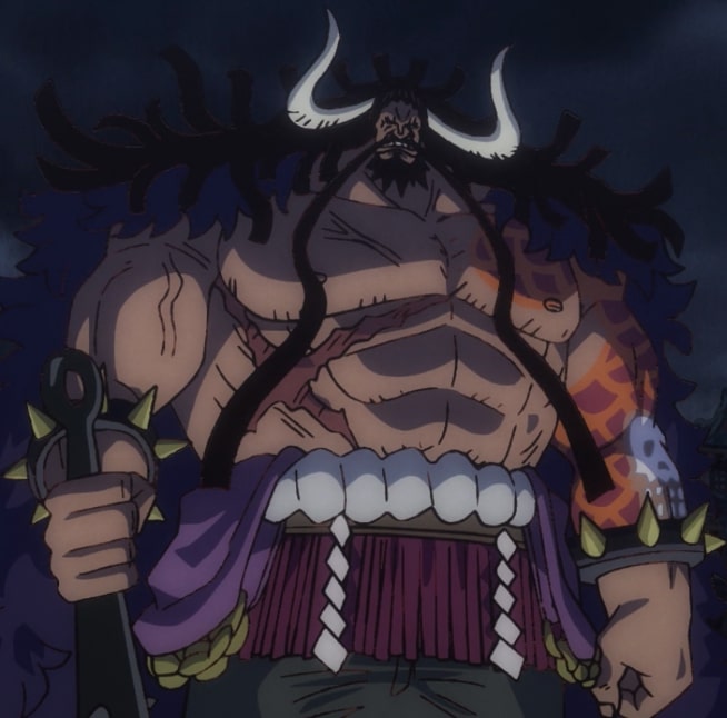 Kaido animal pirates