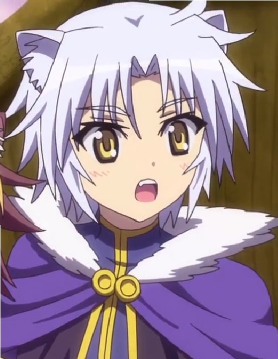 anime catboys- Gaul Galette des Rois (Dog Days)