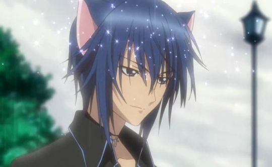 Tsukiyomi Ikuto (Shugo Chara!) - chicos gatos en el anime