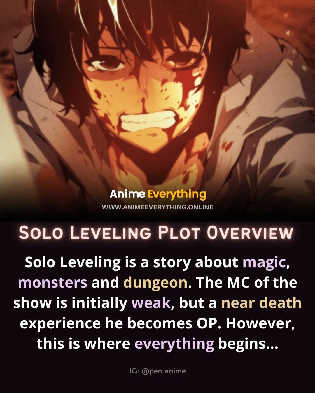 Solo Leveling Anime Release Date, Studio, Trailer And Cast