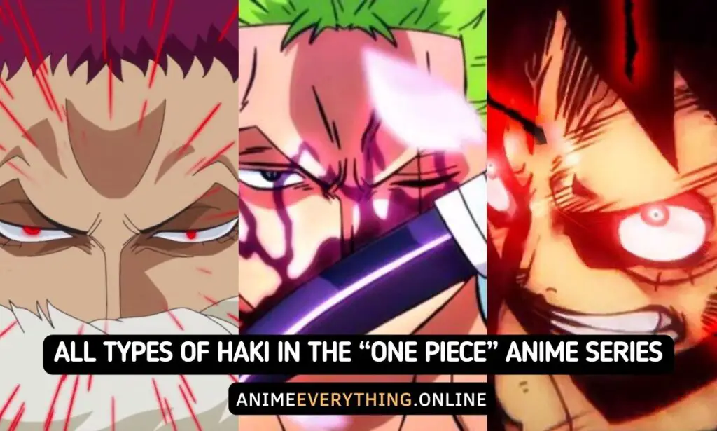Tutti i tipi di Haki nella serie anime "One Piece".