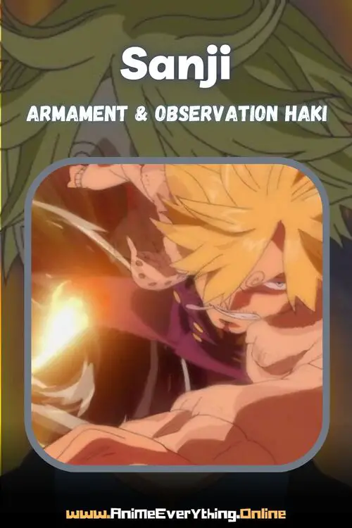 How Many Straw Hats Have Haki In One Piece? - Sanji