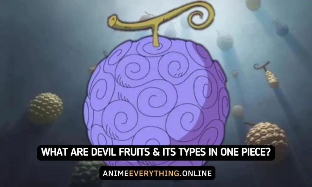 ¿Qué son las frutas del diablo y sus tipos en One Piece?