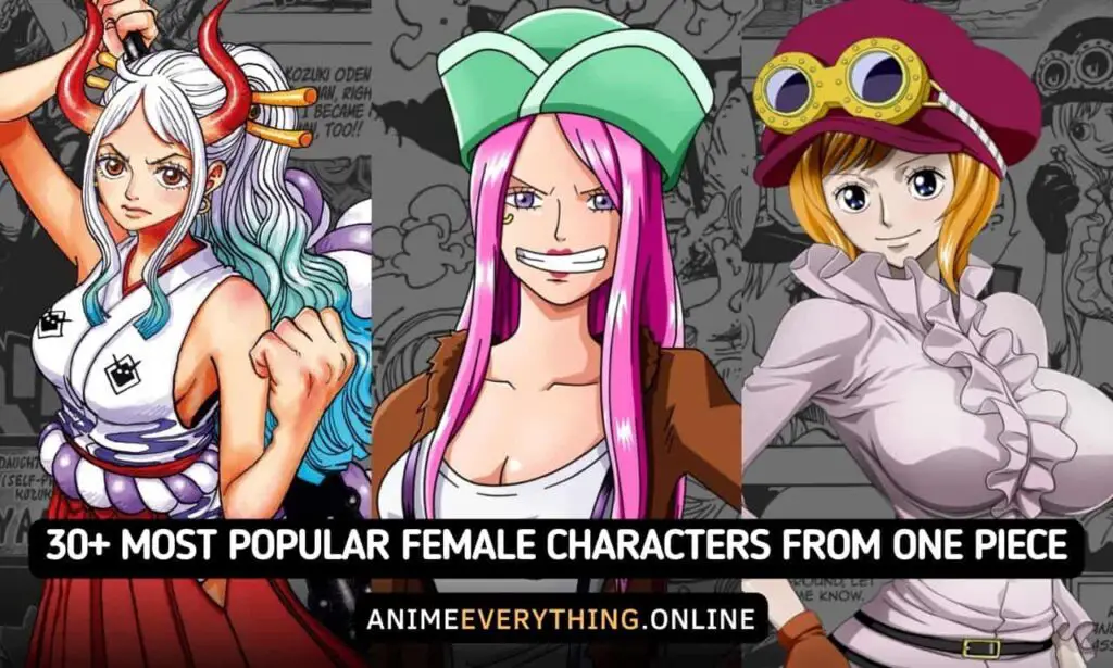 Über 30 beliebteste weibliche Charaktere aus One Piece