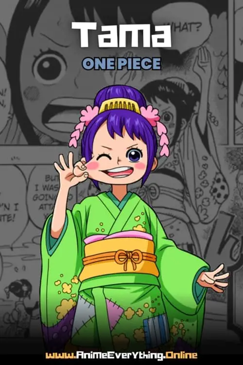 Tama - female characters from one piece
