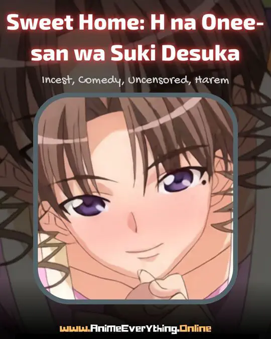 Sweet Home H na Onee-san wa Suki Desuka - best milf hentai anime