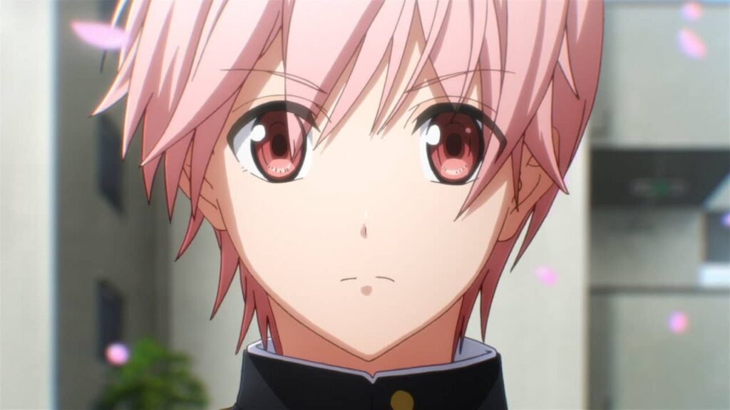 Hikaru (Kenka Bancho Otome) - Handsome Anime Boys With Pink Hair