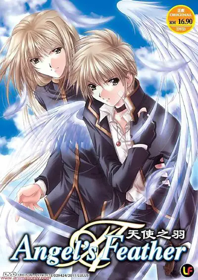 Kai Misonou e Shou Hamura (La piuma d'angelo OVA)